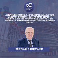 Georgia’s action plan for success of EU membership application – Opinion of MEP Kubilius
