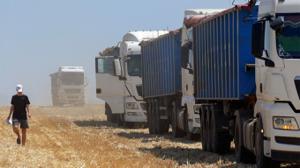 Мировой продовольственный кризис вряд ли повторится после развала зерновой сделки