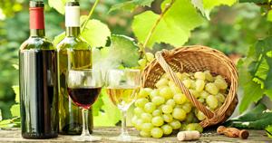 რუსეთი საქართველოში ღვინის რუსული სტანდარტით სერტიფიცირების ლაბორატორიის შექმნას გეგმავს