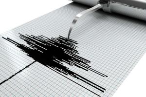 В Грузии произошло землетрясение магнитудой 3,6