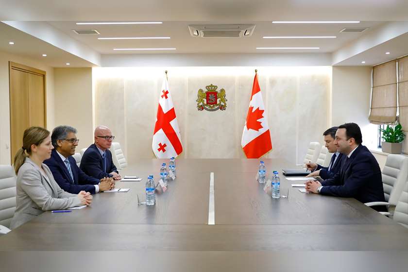 თავდაცვის მინისტრი კანადის ახლადდანიშნულ ელჩს შეხვდა