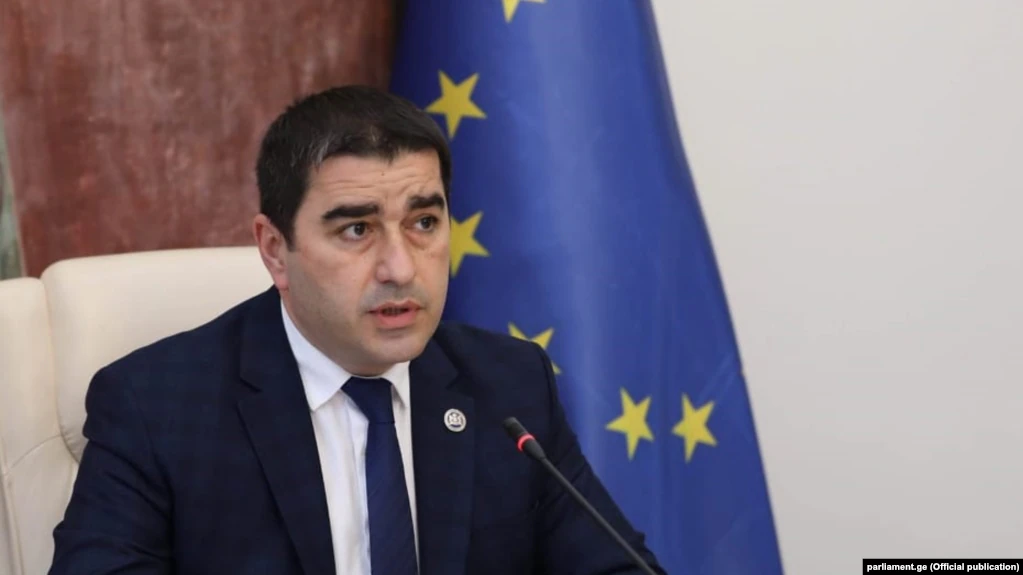Председатель парламента Грузии встретился с генсеком Совета Европы