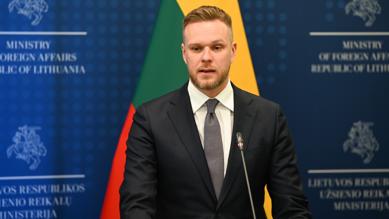ლანდსბერგისი: თუ საქართველოს სურს, დარჩეს ევროპულ გზაზე, არ შეიძლება, მეორე ფეხი მოსკოვში ჰქონდეს