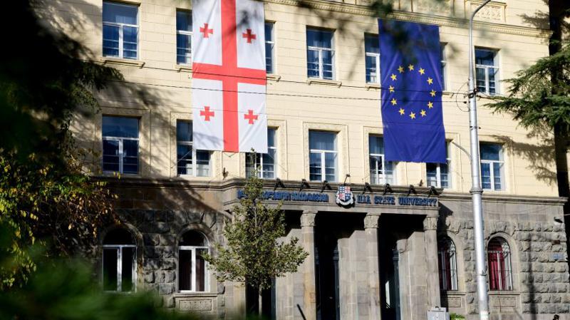 ილიაუნი: კიდევ უფრო მყარდება ეჭვი, რომ ავტორიზაციის საბჭო არ მოქმედებდა დამოუკიდებლად