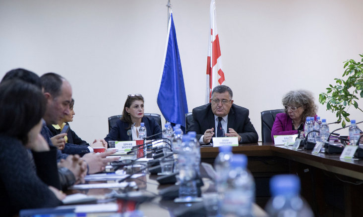 გიორგი ხანიშვილი მიწის რესურსების მდგრადი მართვის მიზნით მიმდინარე პროექტის სამეთვალყურეო საბჭოს სხდომას დაესწრო