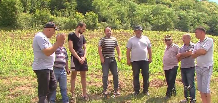 რატომ დაწვეს გლეხებმა სახელმწიფოს მიერ გაცემული ვაუჩერები