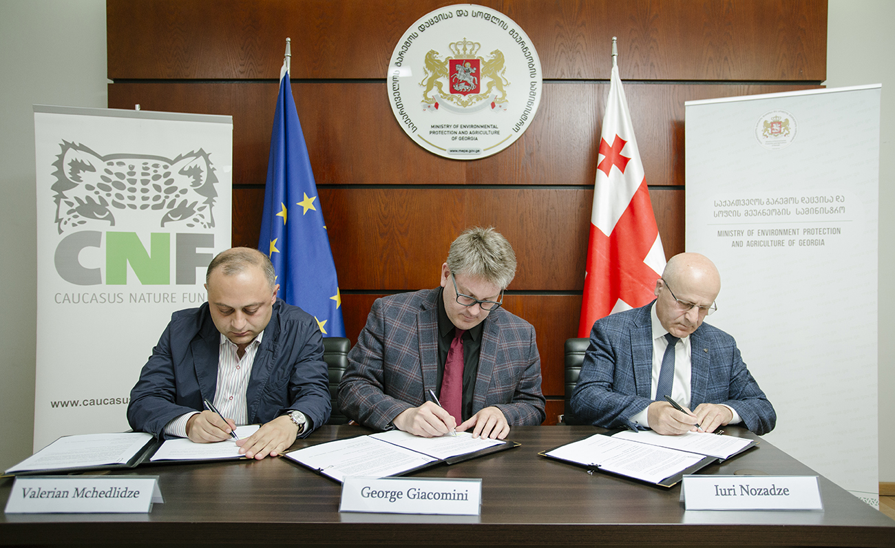 დაცული ტერიტორიების სააგენტომ ახალი გრანტი მიიღო