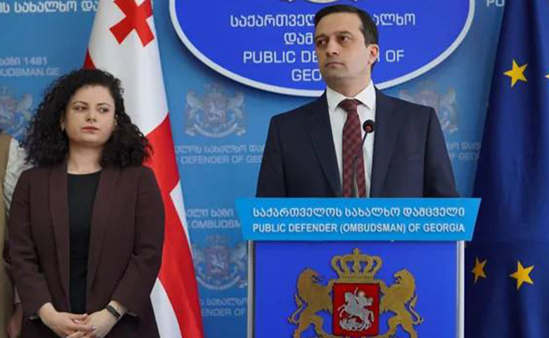 ომბუდსმენის ახალი მოადგილე ელისაშვილის დისშვილი და პარტიის შემწირველია