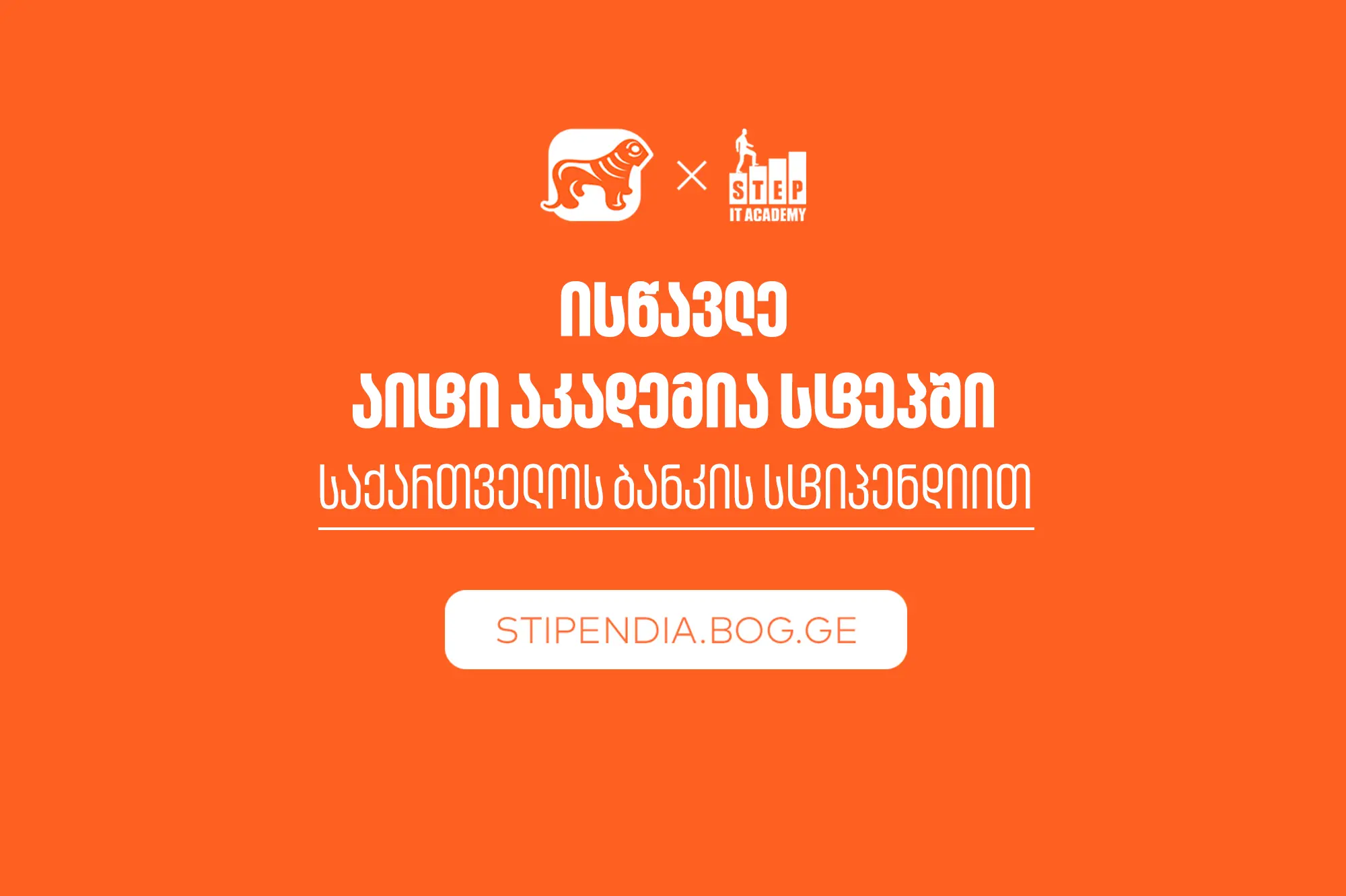 მიიღე საქართველოს ბანკის სტიპენდია IT აკადემია Step-ში და დაეუფლე ახალ პროფესიას