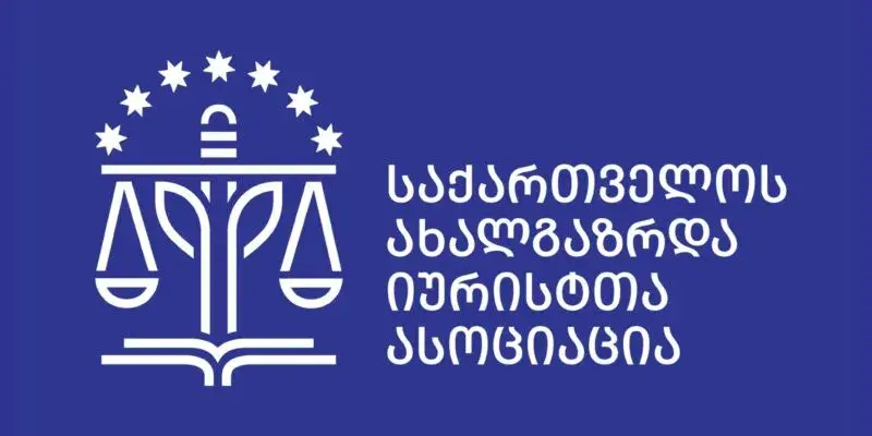 АМЮГ: «Мечта» укрепляет авторитаризм, использует гендерные стереотипы, принимает гомофобные законы