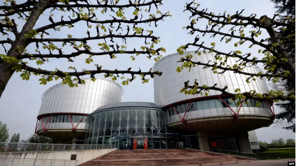 ЕСПЧ установил нарушение прав демонстранта, задержанного в Тбилиси во время акций