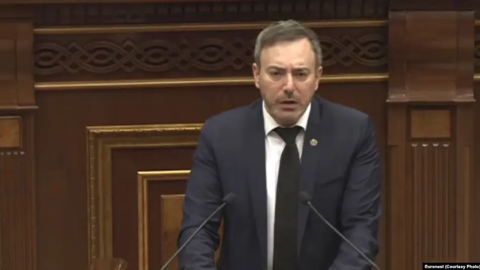 Немецкий европарламентарий в Евронест: видим в Грузии лабораторию для авторитарных атак