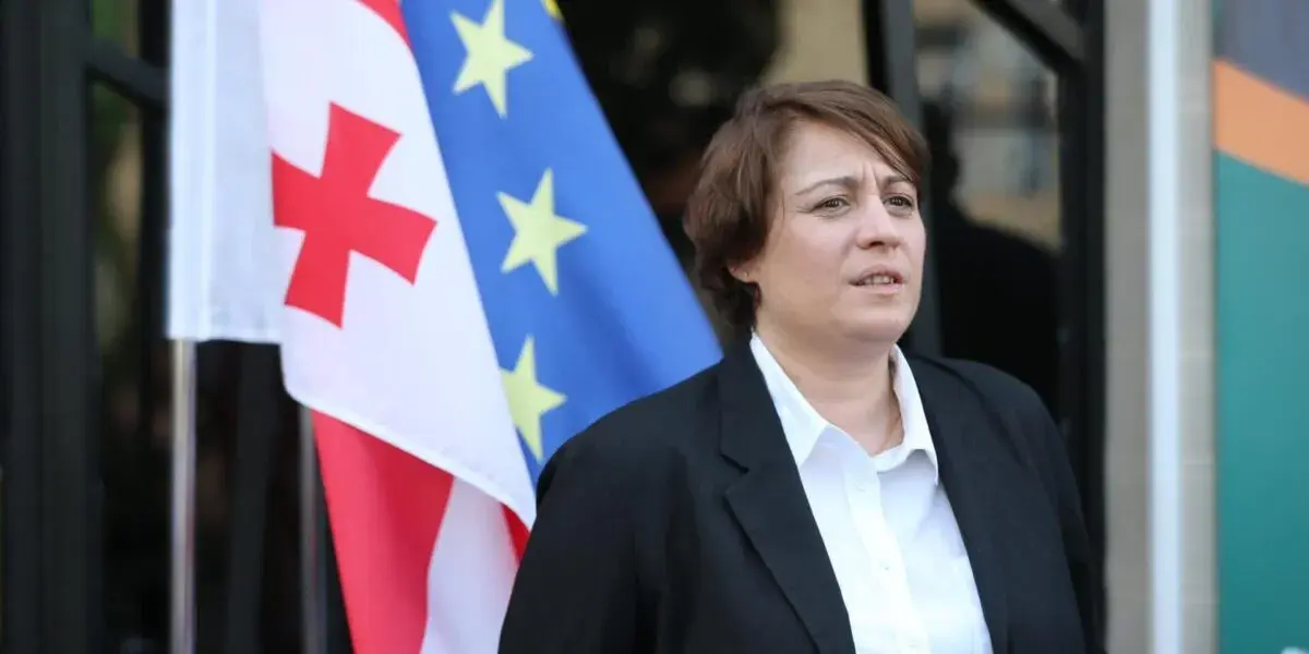 ელენე ხოშტარიას განცხადებით, მისი და პარტია „დროას“ ანგარიშები დააყადაღეს