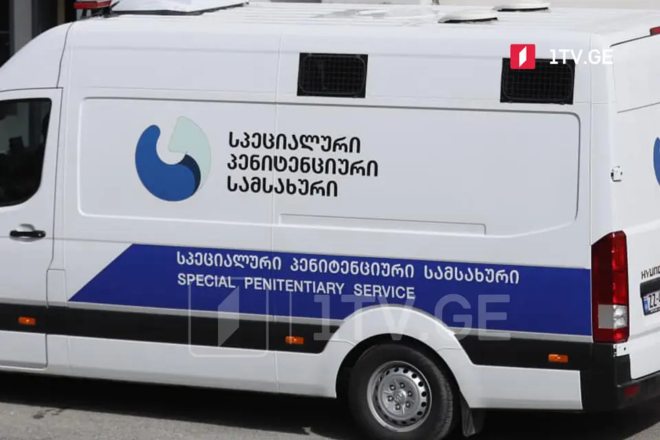 Начальник Специальной пенитенциарной службы Бежан Обгаидзе подал в отставку