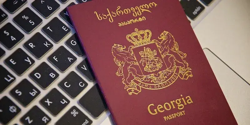 В 2025 году гражданство Грузии получили на 1 254 человека меньше, чем в 2024-м