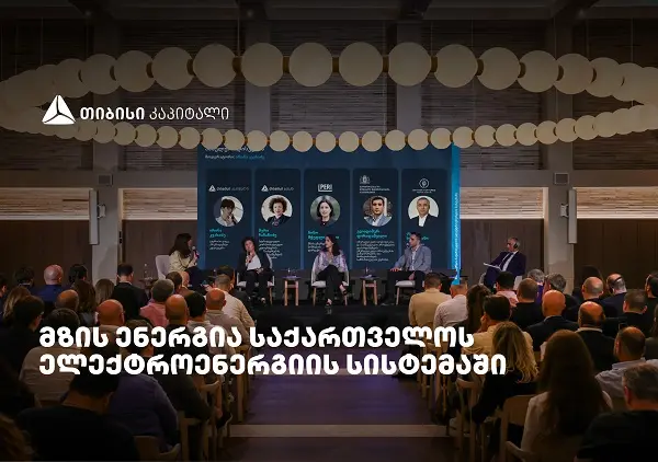 „მზის ენერგია საქართველოს ელექტროენერგიის სისტემაში" - თიბისი კაპიტალმა ახალი კვლევა წარადგინა