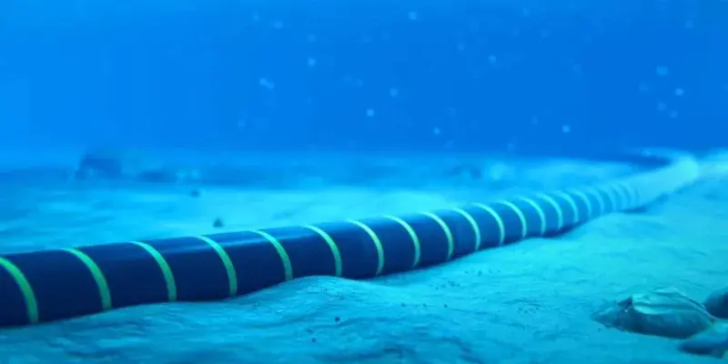 Проект черноморского кабеля получил статус взаимного интереса PMI