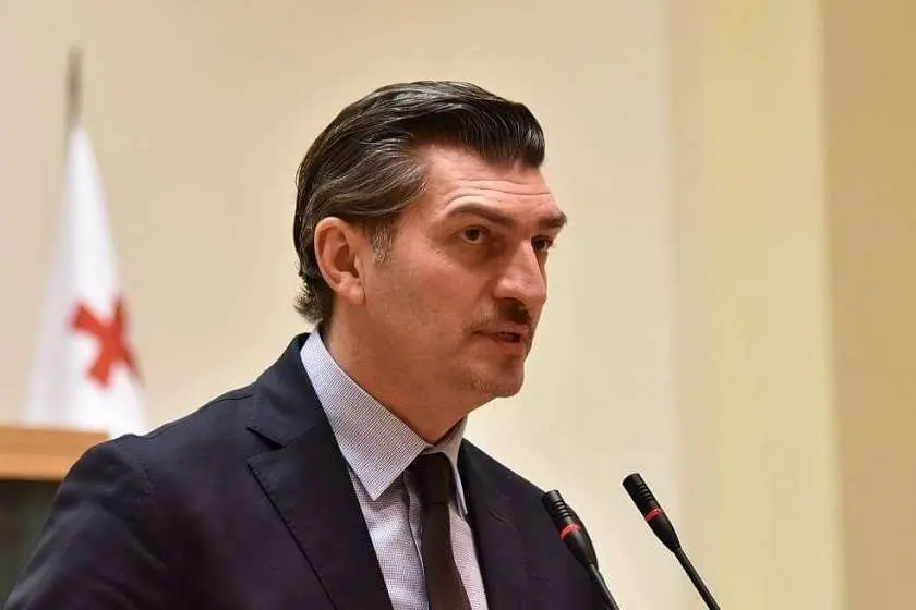 შეწყალება არჩევნებში მონაწილეობის სანაცვლოდ – ყაველაშვილის შეთავაზება დაპატიმრებულ ოპოზიციონერ პოლიტიკოსებს