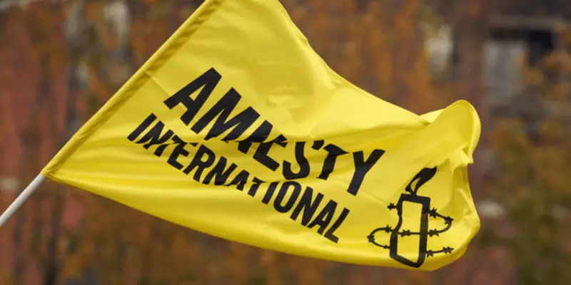 Amnesty International: необходимо провести независимое расследование в связи с избиением Бачиашвили