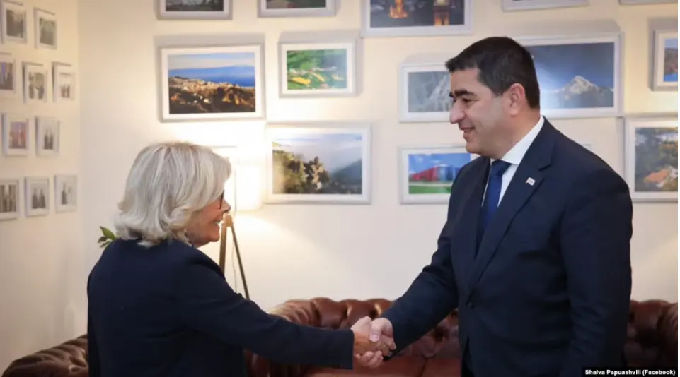 Содокладчики ПАСЕ призвали власти Грузии прекратить преследования оппозиции