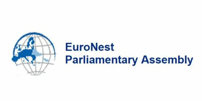 ПА Евронест: осуждаем жесткие репрессии против мирных протестов в Грузии