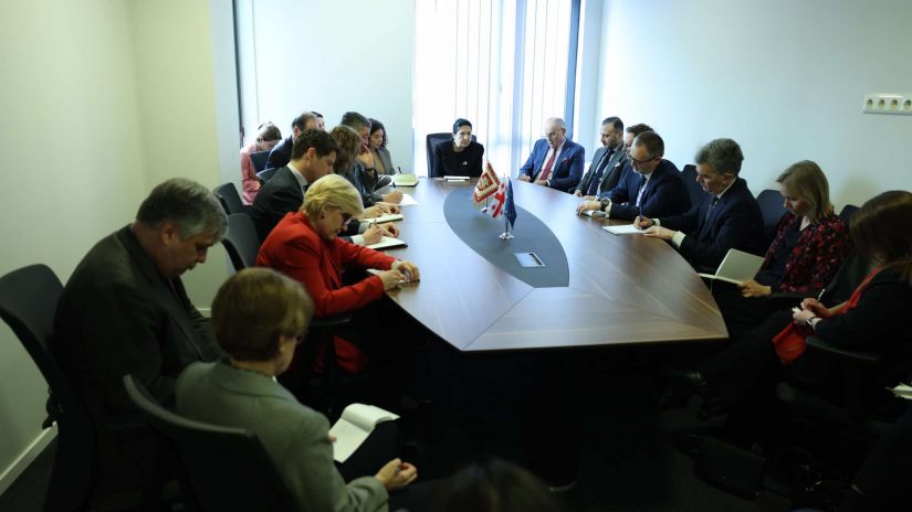 სალომე ზურაბიშვილი დიპლომატიური კორპუსის წარმომადგენლებს ხვდება