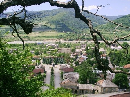 ახალგორის ოკუპირებული რაიონიდან სამკურნალოდ თამარ გიგაური გამოუშვეს