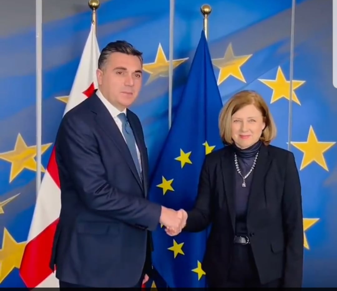 ევროკომისიის ვიცე-პრეზიდენტი – ილია დარჩიაშვილს: სანქციებზე/იარლიყის მიწებებაზე/საქმიანობის შეზღუდვაზე ფოკუსირება არ შეესაბამება ევროკავშირის მიდგომას