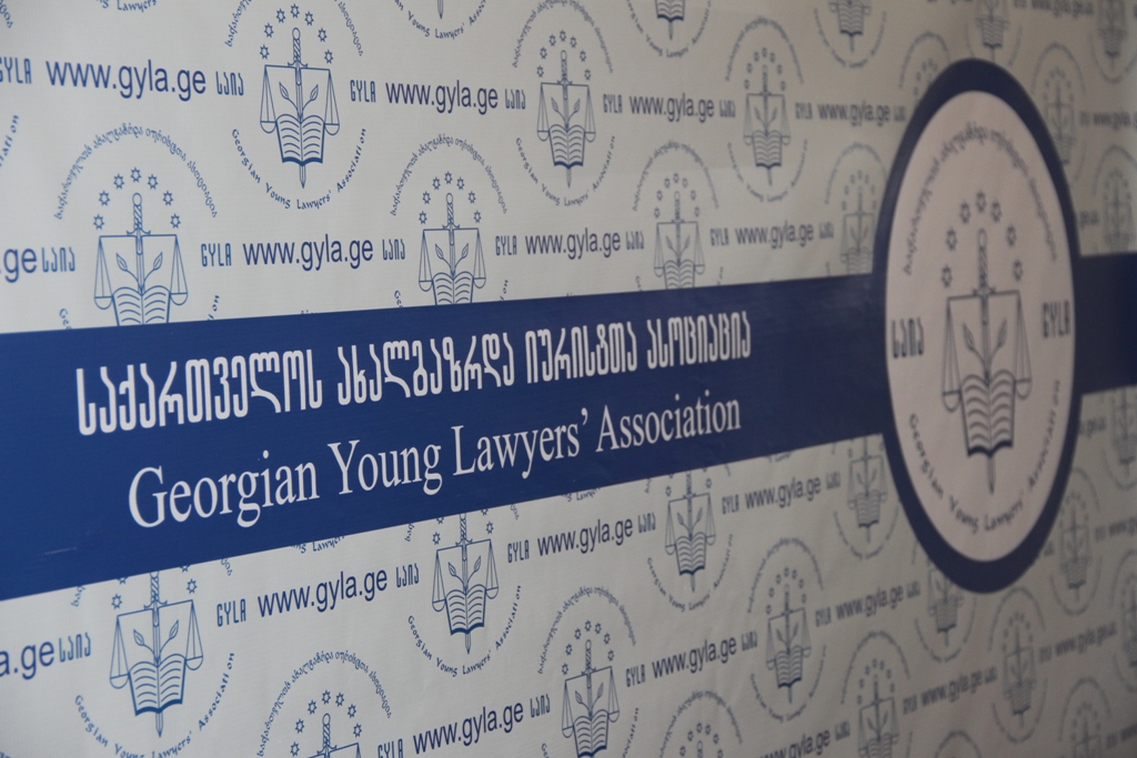 საია საქართველოს ეროვნულ მუზეუმში მკვლევართა დაშვების წესს საკონსტიტუციო სასამართლოში ასაჩივრებს