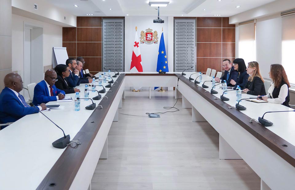 თეა ახვლედიანი გაერო-ში სხვადასხვა ქვეყნის მუდმივ წარმომადგენლებს შეხვდა