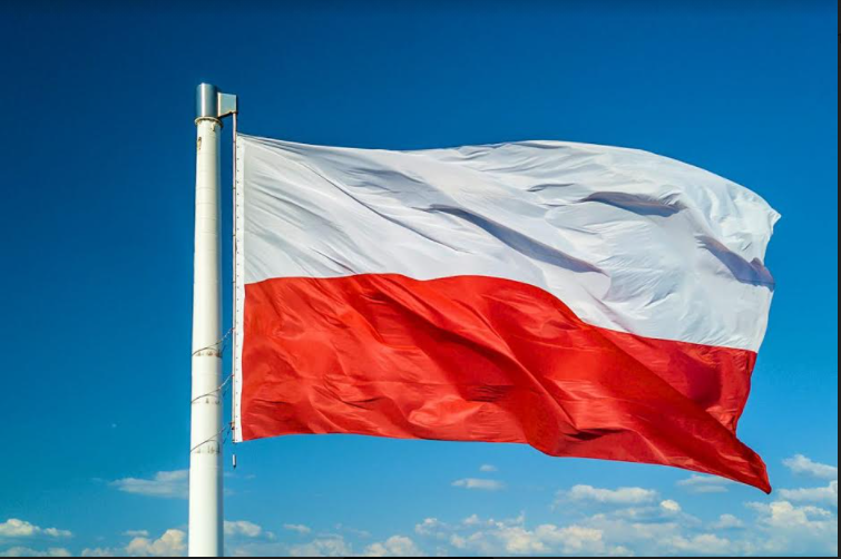 პოლონეთი პირველი ატომური ელექტროსადგურის აშენებას გეგმავს