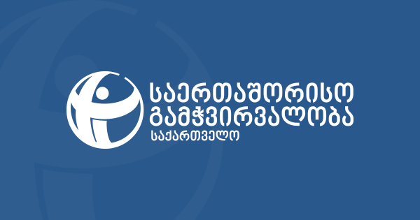 TI- აჭარის მთავრობის მიერ 2020-2021 წლებში ჩატარებული პრივატიზაციის პროცესი კორუფციულ ეჭვებს აჩენს