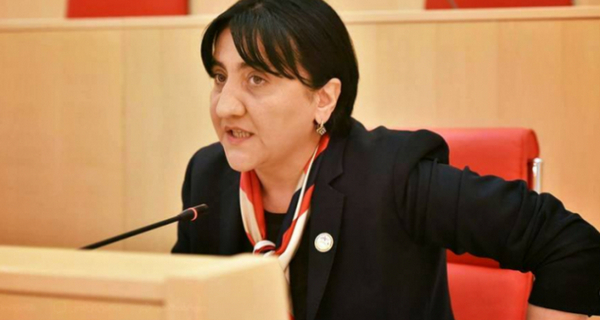 "მოუხსნან იმუნიტეტი ბოკერიას და გამოიძიონ გავრილოვზე განხორციელებული პროვოკაცია"