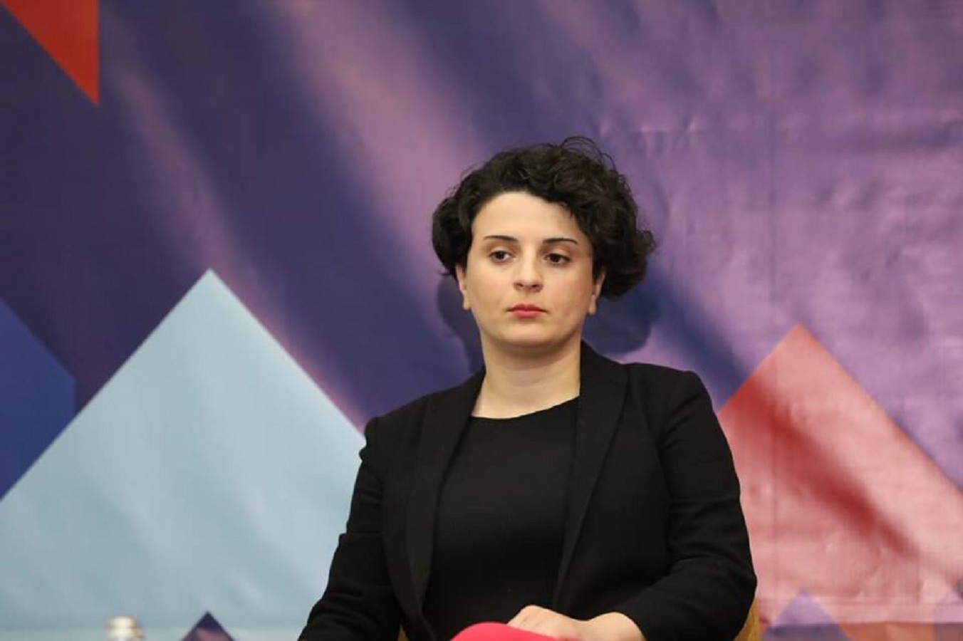 მეზვრიშვილი - საკადრო წმენდაზე: სახელმწიფოს აცლიან ხერხემალს