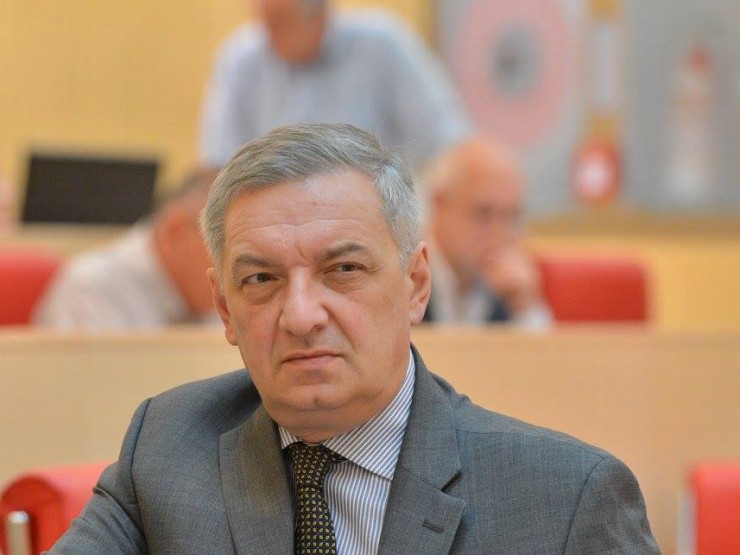 "გაფრინდაშვილის გასათავისუფლებლად ოპოზიციამაც თავისი რესურსები უნდა გამოიყენოს"