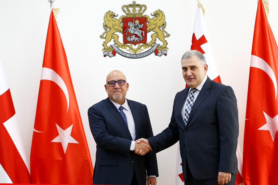 მიხეილ სარჯველაძე თურქეთის ელჩს, ალი ქაან ორბაინს შეხვდა
