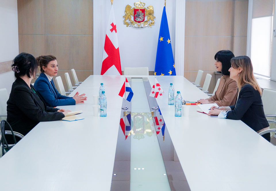თეა ახვლედიანმა საქართველოში ნიდერლანდების ელჩთან გაცნობითი შეხვედრა გამართა
