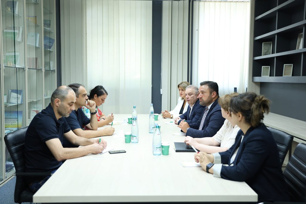 ცენტრალურ საარჩევნო კომისიაში „მრავალეროვანი საქართველოს“ წარმომადგენლებთან სამუშაო შეხვედრა გაიმართა