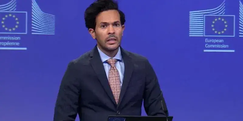 Пресс-секретарь ЕС об инициативе «Мечты»: это законодательство противоречит фундаментальным правам