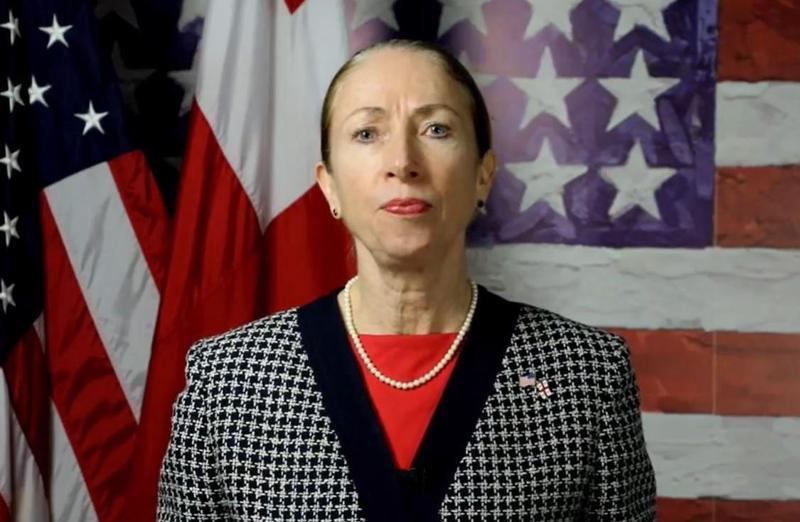 US welcomes President's decision to pardon Gvaramia, Ambassador Degnan says