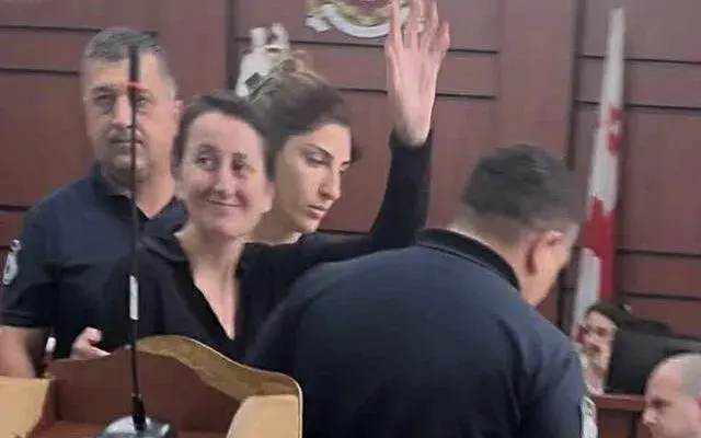 „ვგმობთ მზია ამაღლობელის მიმართ პოლიტიზებულ განაჩენს“ – 24 დიპლომატიური წარმომადგენლობა