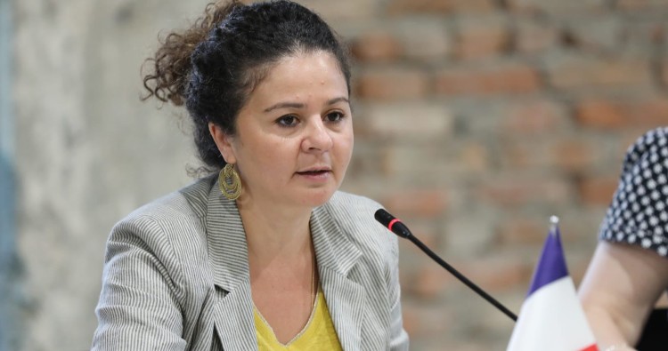 საფრანგეთის ელჩი: ემანუელ მაკრონი ხაზს უსვამს, რომ პოლიტიკური კრიზისიდან გამოსავალი შეიძლება, ახალი არჩევნები იყოს