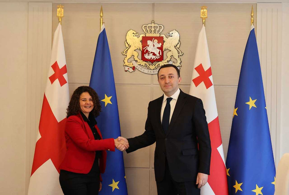 Georgian PM meets French Ambassador
