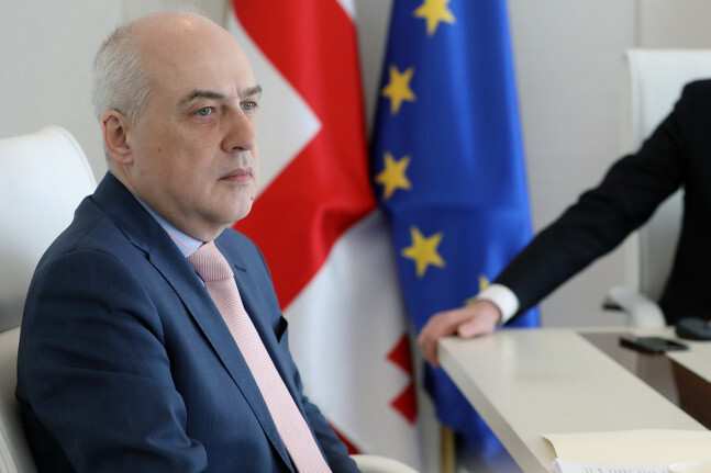 „დაიგეგმა ერთობლივი ნაბიჯები“ – ზალკალიანი ზელენსკისთან შეხვედრის შემდეგ