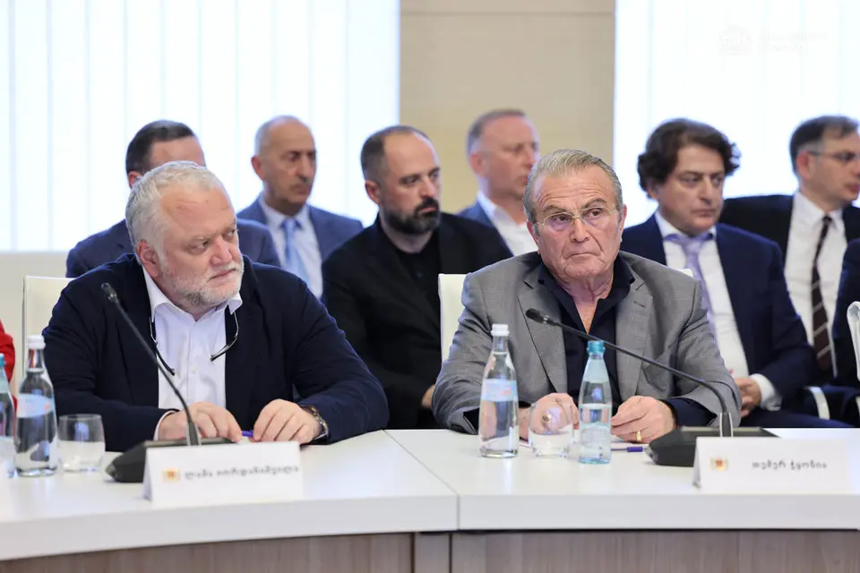 ჭყონია: ძალიან განვიცდი მამუკას და ბადრის თემას, მაგრამ ფორმატს გააჩნია, სად უნდა ისაუბრო ამ თემის გარშემო
