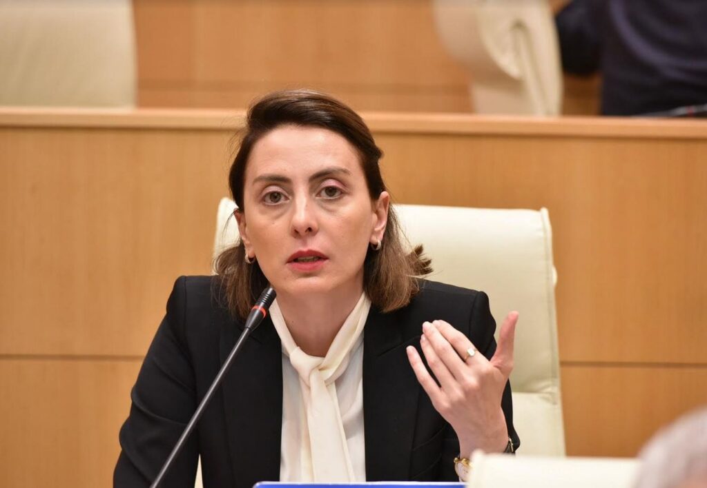 ხატია დეკანოიძე: აუცილებელია, საქართველოს სახელმწიფომ იზრუნოს ისრაელში მყოფ თანამოქალაქეებზე, როგორც ამას აკეთებს პოლონეთი, კანადა, აშშ და სხვა ქვეყნები
