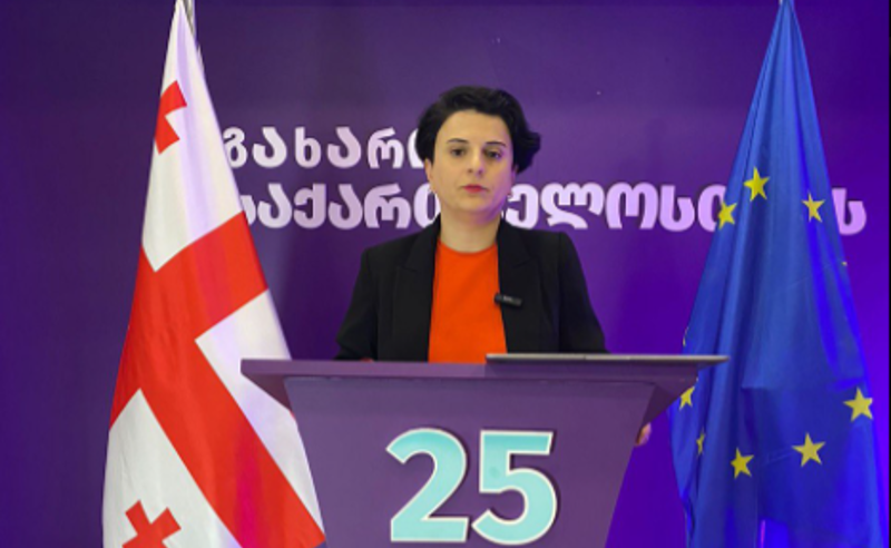 ნათია მეზვრიშვილი: დადგენილია მათი ვინაობა, ვინც ბათუმში პარტია „გახარია საქართველოსთვის“ წინასაარჩევნო კამპანიის ჩაშლას შეეცადა