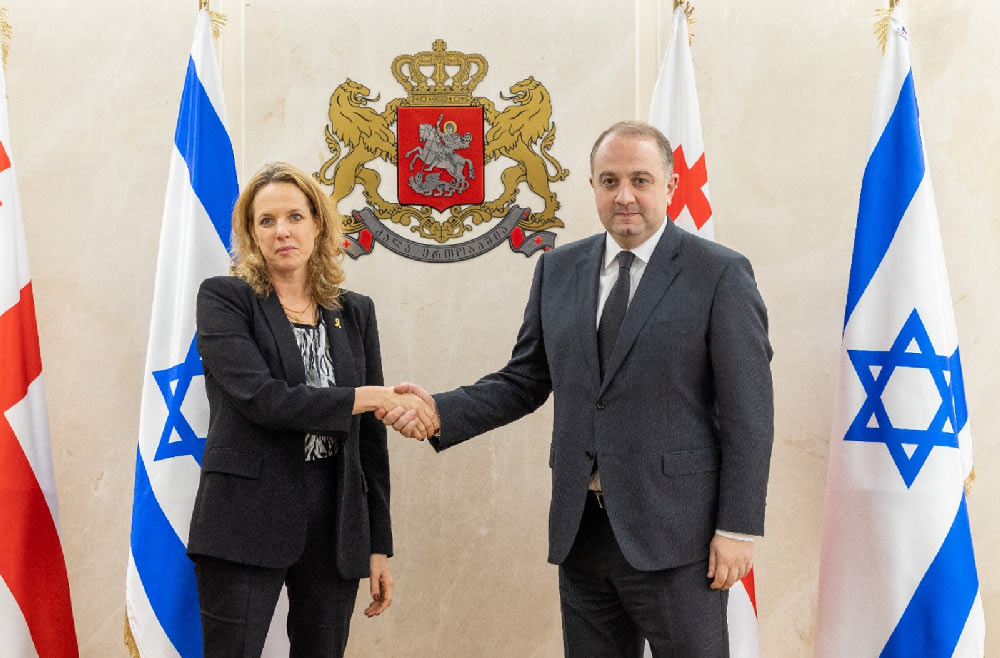 თავდაცვის მინისტრი ისრაელის ელჩს შეხვდა