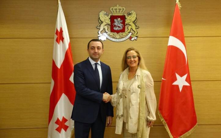 თავდაცვის მინისტრი თურქეთის ელჩს შეხვდა