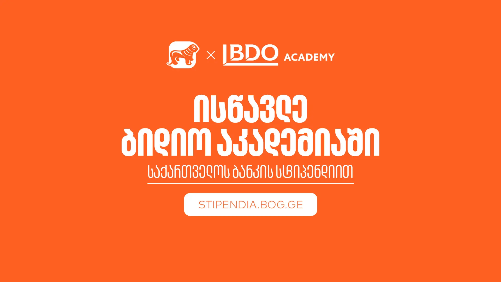 თუ პროფესიის შეცვლა გსურს, ისწავლე BDO Academy-ში „საქართველოს ბანკის“ სტიპენდიით